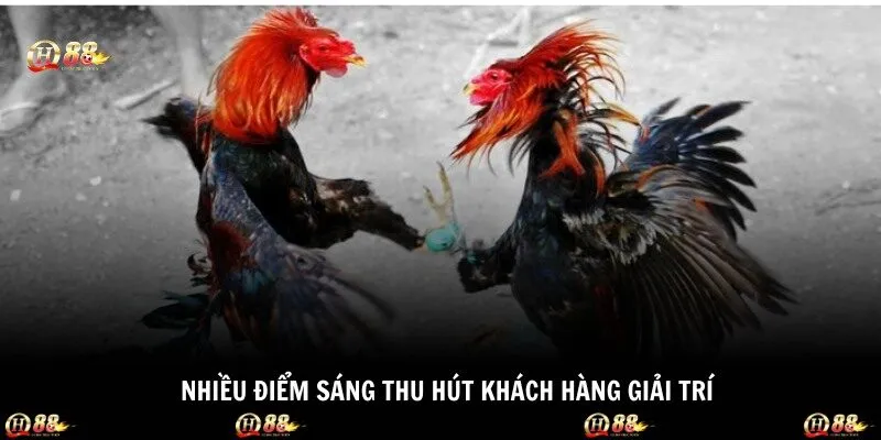   Nhiều điểm sáng thu hút khách hàng giải trí